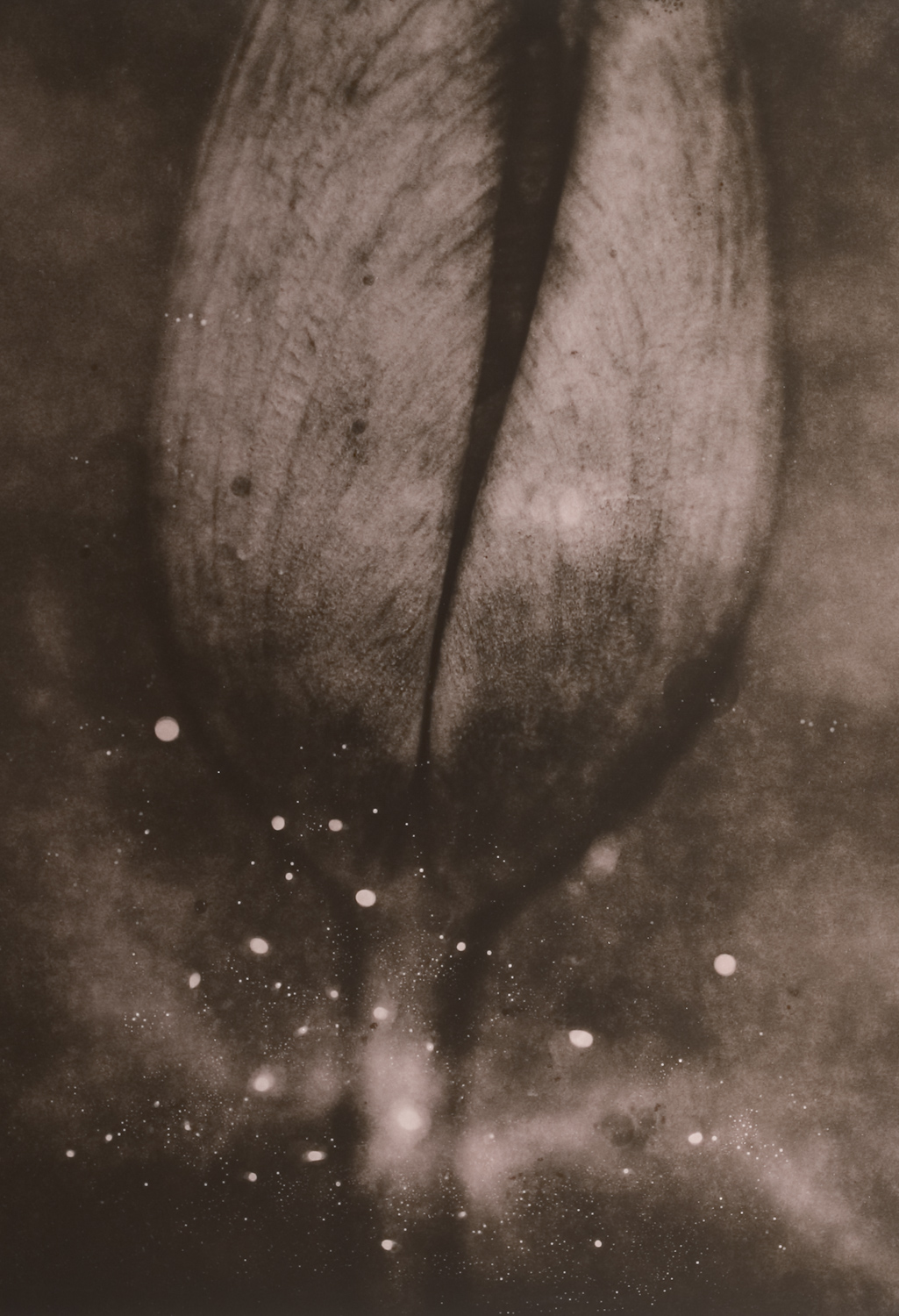 z cyklu bez tytułu, nr neg. 640/16